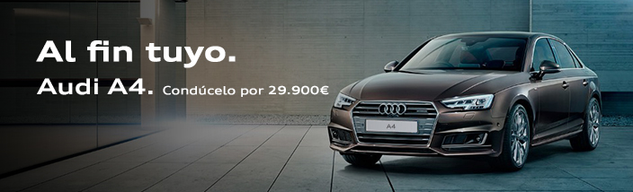 Oferta Noviembre Audi A4 en Valladolid