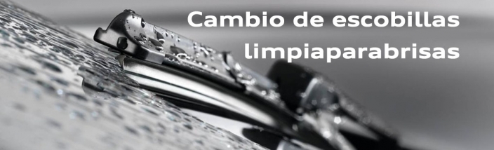 Cambio de limpiaparabrisas Audi